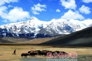 对西藏旅游的种种思考