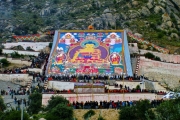 夏游西藏，和藏民一起欢度雪顿节